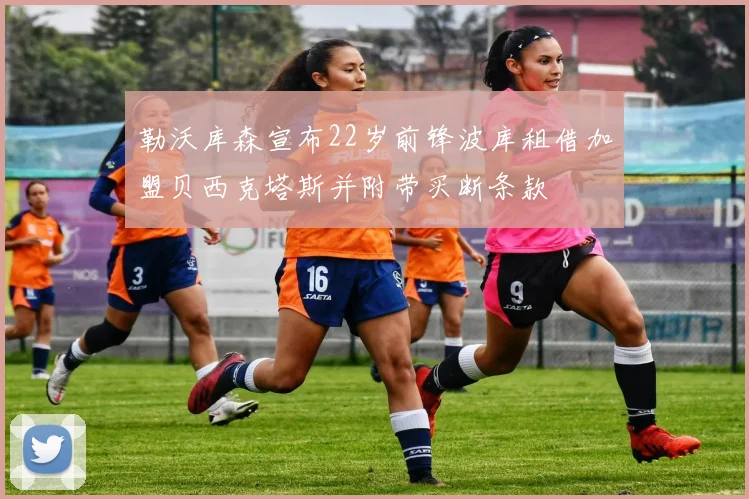 勒沃库森宣布22岁前锋波库租借加盟贝西克塔斯并附带买断条款