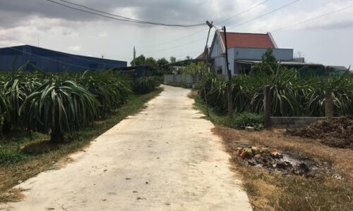 Bán 5000m2 đất sào hàm chính hàm thuận bắc bình thuận