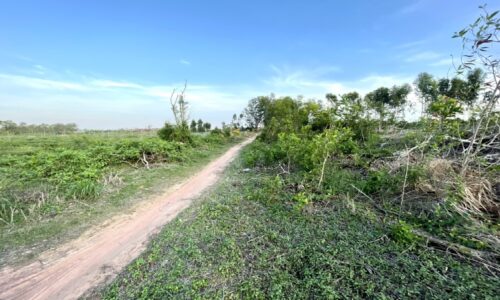 Bán lô đất mẫu xã tân xuân đất cây trồng lâu năm hàm tân bình thuận