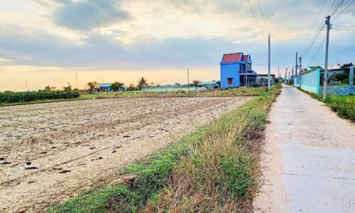 Bán 1000m2 xã hàm chính huyện hàm thuận bắc tỉnh bình thuận giá đầu tư