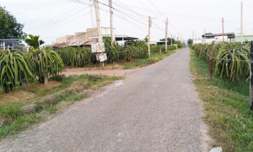 Bán lô đất sào hàm thuận nam ngay thôn phú hưng hàm mỹ hàm thuận nam bình thuận