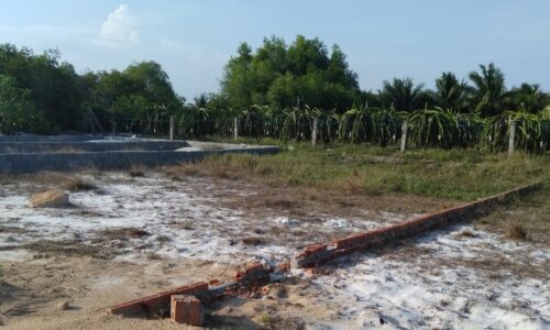 Bán lô đất hẻm đường số 1 rừng dầu xã tân bình thị xã lagi bình thuận