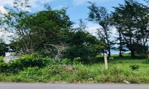 Bán lô đất giáp biển Novaword Tiến Thành Tp Phan Thiết.