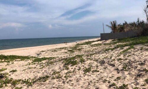 Bán lô đất mặt tiền đường nhựa lạc long quân ngay chợ tiến thành giá tốt