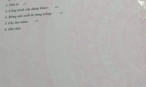 Bán lô đất lúa xã Tân Phước thị xã Lagi Bình Thuận