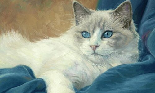 Phật Bà che chở suốt đời: 4 tuổi gặp dữ hóa lành, ung dung tiền tại tự chui vào túi