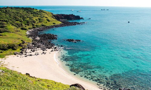 Đón đầu thời cơ vàng bằng hành động chủ động!