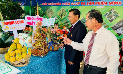 Tiềm năng phát triển và hy vọng tương lai