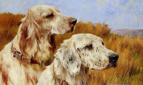 Chuột rơi hũ nếp: 4 tuổi được Thần Tài rót tiền vào túi, làm đâu trúng đó giàu có hơn người trong 17 ngày tới