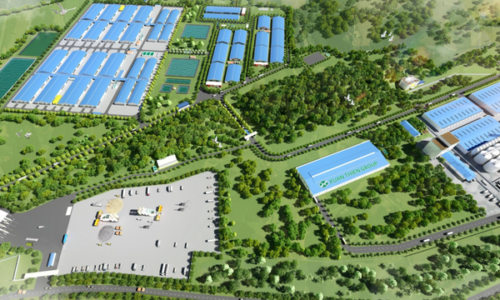 Kế hoạch đầu tư của doanh nghiệp: Xây dựng tòa nhà cao tầng với mục tiêu chăn nuôi lợn