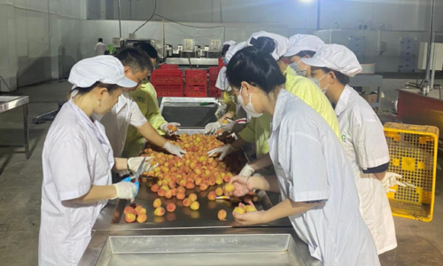 Việt Nam vượt mặt với xuất siêu hơn 12 tỉ USD trong nửa đầu năm 2023