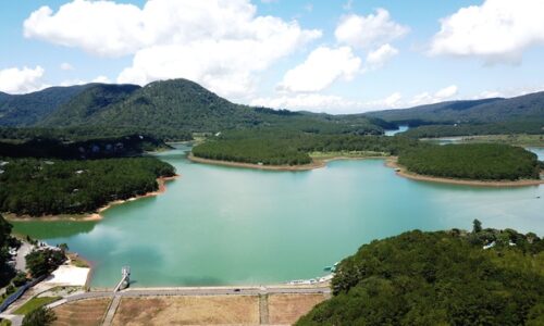 Đề xuất chuyển mục đích hơn 5,3 ha rừng tại KDL quốc gia hồ Tuyền Lâm: Bảo vệ và phát triển bền vững không gian sống