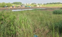 Dự án Trùm Mền: Sự Thụt Lùi trong Định Giá Đất và Sự ‘Tắc’ của Nguồn Lực