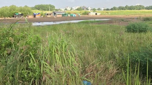Dự án Trùm Mền: Sự Thụt Lùi trong Định Giá Đất và Sự ‘Tắc’ của Nguồn Lực