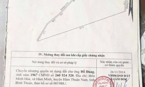 Bất động sản lô đất 2 hecta tại Tân Nghĩa – Cơ hội đầu tư và an cư lý tưởng