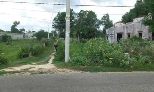 ĐẤT MẶT TIỀN – CƠ HỘI ĐẦU TƯ LÝ TƯỞNG