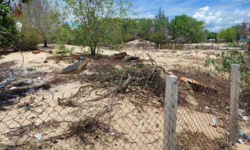 Cơ Hội Đầu Tư Đất Nền Hấp Dẫn tại Xã Tân Thắng – Đảm Bảo Lợi Nhuận!