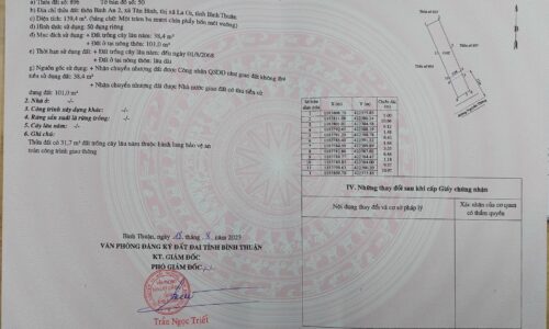 Cơ Hội Đầu Tư Đất Vàng – Đẹp Mê Hồn Tại Nguyễn Thông, Tân Bình, Lạng Sơn