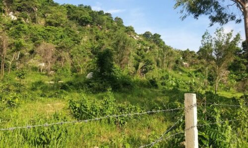 BÁN ĐẤT ĐỒI VIEW ĐẸP 96.000m2 – ĐẦU TƯ SINH LỜI CAO