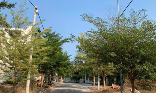 TÂN PHƯỚC – CƠ HỘI SỞ HỮU ĐẤT NỀN TẠI DỰ ÁN LAGI PEARL!