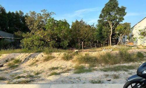 Bán Lô Đất Mặt Tiền Trên Đường Trưng Nhị, Tân An, Thị Xã Lagi!