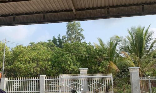 Bán Nhà Gần Chợ Tân Xuân – Hẻm Bê Tông Xe Hơi Ra Vào Vô Tư