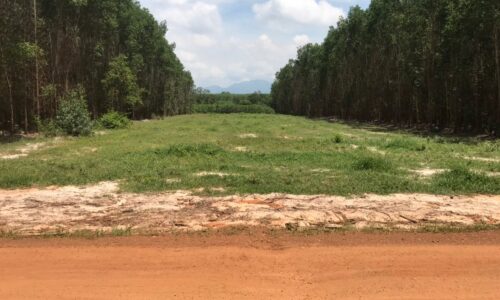 Đất Mặt Tiền Đường Sỏi – Cơ Hội Đầu Tư Tuyệt Vời Tại Phước An, Lagi, Bình Thuận