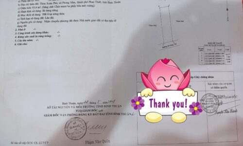 Bán Nhanh Lô Đất Hẻm Đặng Văn Lãnh, Phong Nẫm – Hấp Dẫn Cho Nhà Đầu Tư và Người Mua Nhà