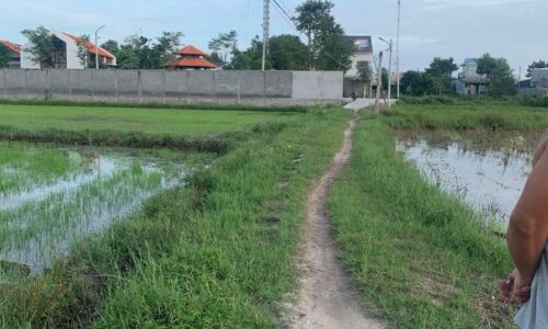 ĐẤT THỔ CƯ TẠI TÂN PHƯỚC, THỊ XÃ LAGI, BÌNH THUẬN