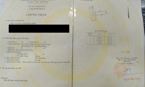 Cơ Hội Đầu Tư Độc Đáo! Bán Nhà Mặt Tiền Phan Đình Phùng, Phước Hội, Lagi