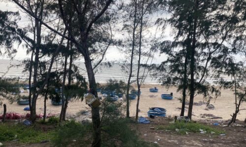 Cơ Hội Độc Đáo – Bán Lô Đất 80m Mặt Biển tại Tân Thắng, Hàm Tân, Bình Thuận!