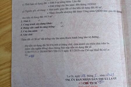 MẶT TIỀN NGUYỄN TRI PHƯƠNG ,TÂN BÌNH ,THỊ XÃ LAGI,BÌNH THUẬN