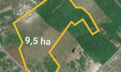 Cơ Hội Đầu Tư Hấp Dẫn – Dự Án Đất 9,5 Ha Tại Thắng Hải, Bình Thuận