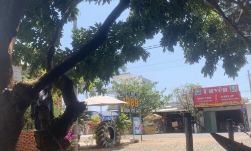 Cơ Hội Sở Hữu Đất Mặt Tiền Đường QL55 – Địa Chỉ Lý Tưởng Cho Nhà Đầu Tư!