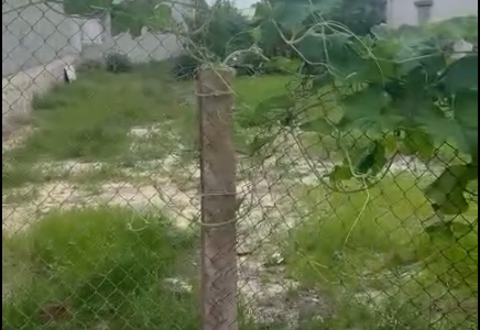 Cơ hội đầu tư lý tưởng tại Tân Phước Lagi!